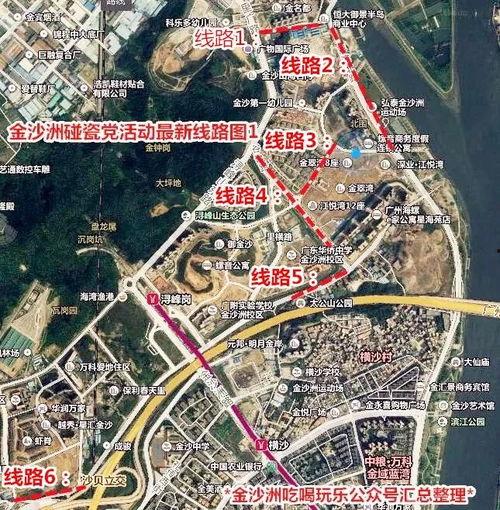 金沙洲爆料新闻事件最新,最新事件引发社会关注，真相究竟如何？