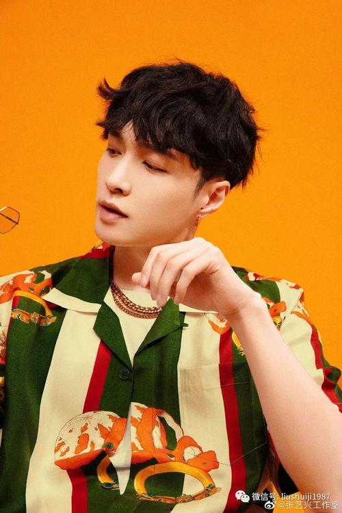 新专辑张艺兴最新爆料,音乐之旅中的惊喜与成长