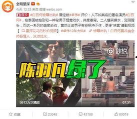 沈阳四季爆料事件视频最新,揭秘背后真相与争议