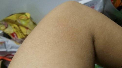 吃鸡皮肤爆料最新实测版,全新视觉盛宴，带你领略极致游戏体验